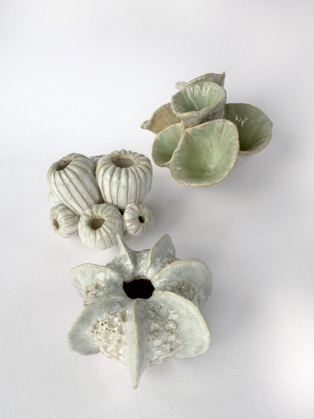 Unterwasserwelten – organische Fantasieformen modellieren